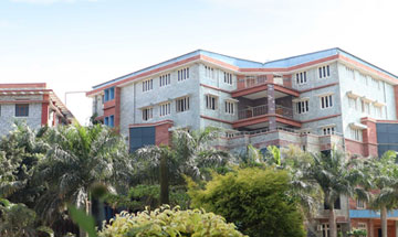 School of Management